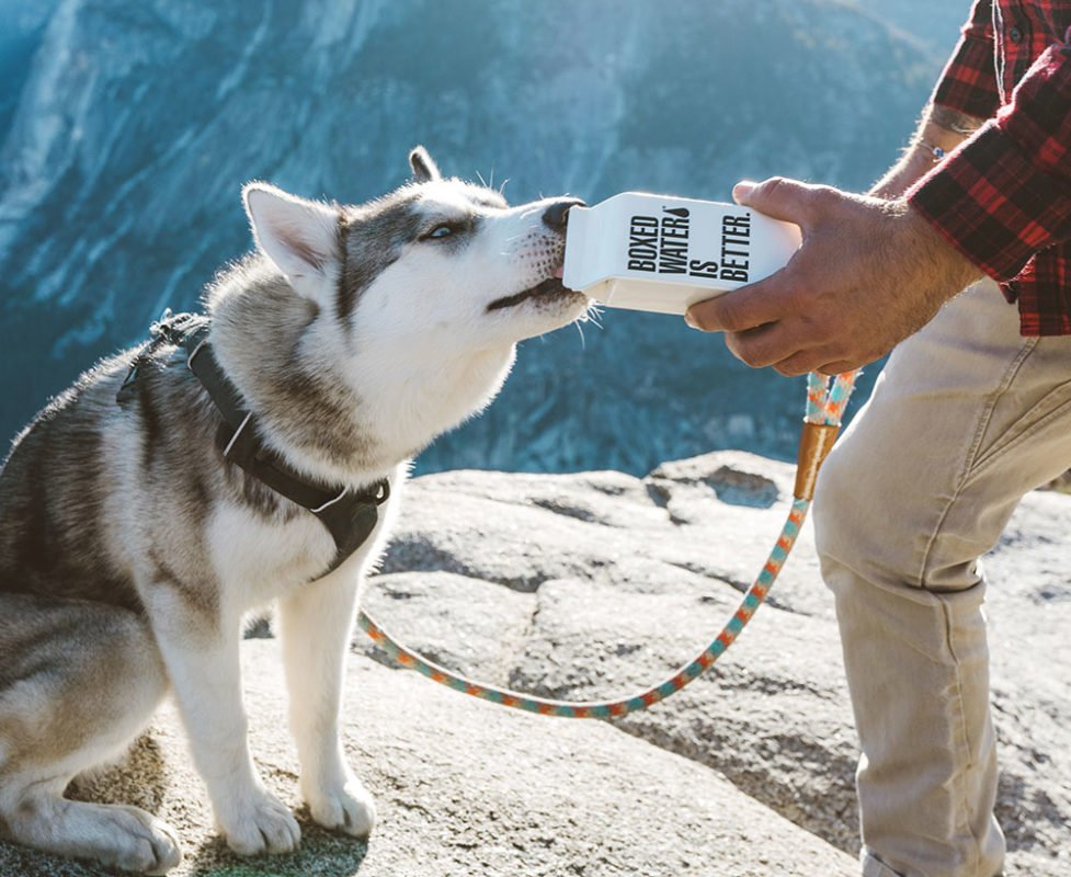 Quảng cáo sân bay – Nextbrand Việt Nam