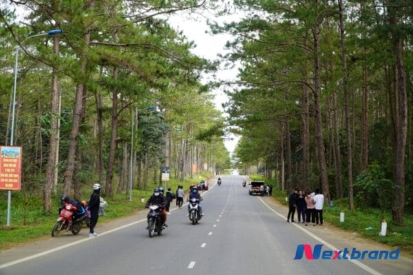Du khách đến du lịch tại thị trấn Măng Đen