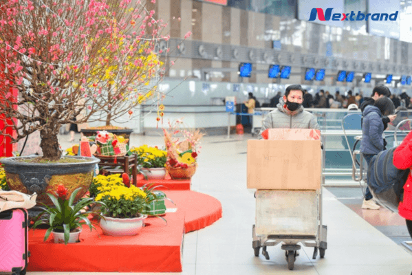 Giá vé máy bay tăng cao vào dịp Tết