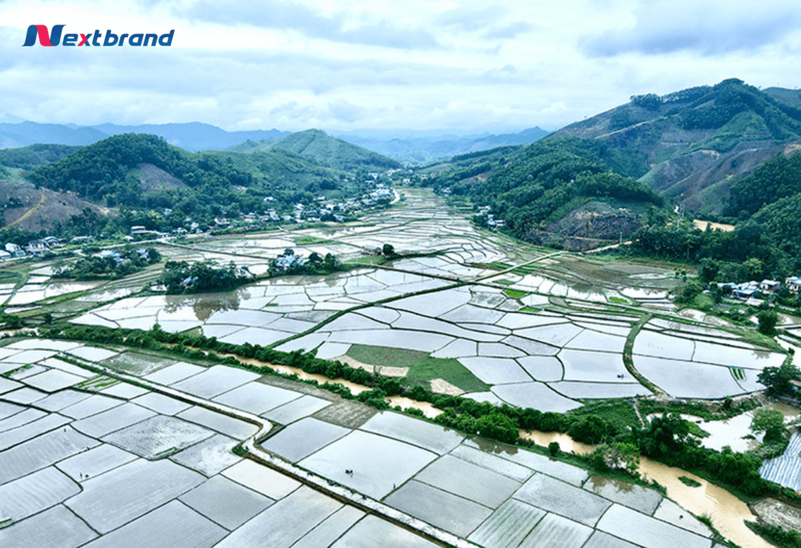 Cánh đồng Xóm Cò, tình Tuyên Quang - nơi được chọn để xây dựng sân bay Lũng Cò Cánh đồng Xóm Cò, tình Tuyên Quang - nơi được chọn để xây dựng sân bay Lũng Cò