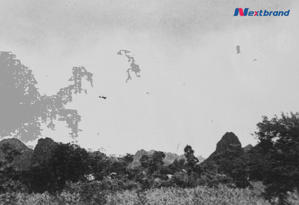 Airport Advertising Nextbrand Việt Nam